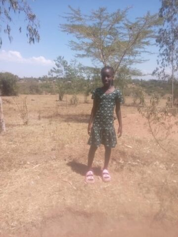 Gloria im Dezember 2025